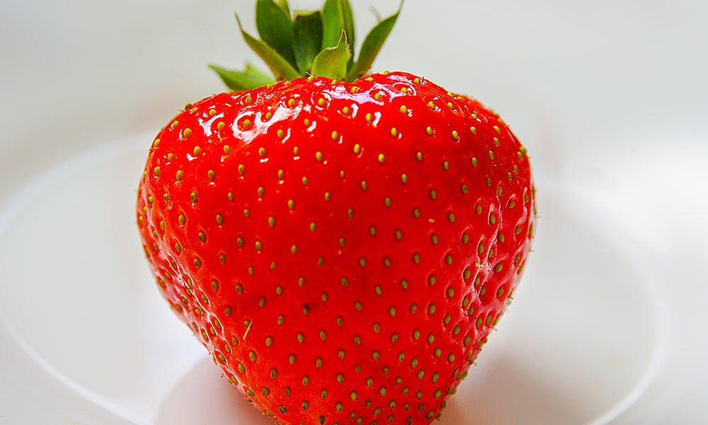 Lorem ipsum dolor amet